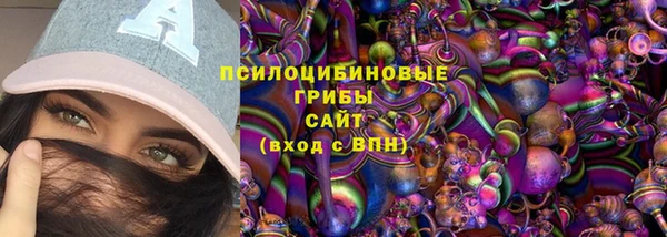 крисы Карталы