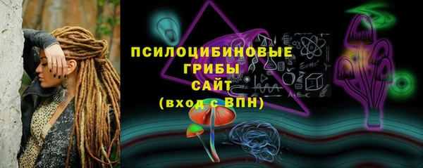 крисы Карталы