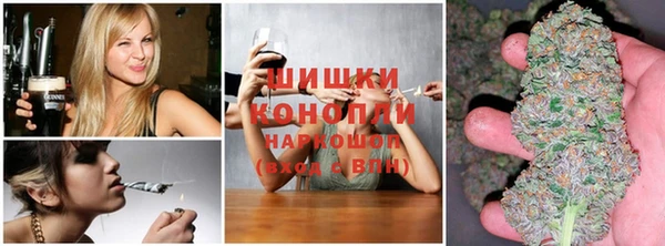 крисы Карталы