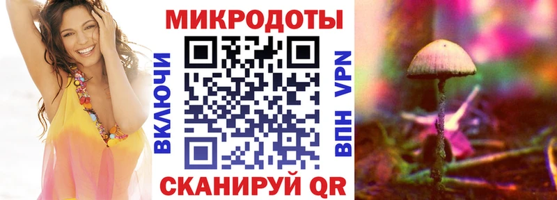 Купить закладки  Сосновый Бор  Псилоцибиновые грибы Psilocybe 