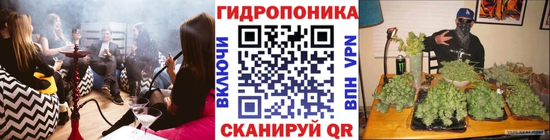 Бошки марихуана марихуана Купить закладки Сосновый Бор